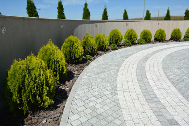 Trusted Homewood, SC Driveway Pavers Experts